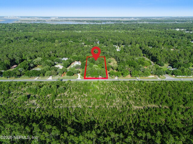 96428 Chester Rd, Yulee, FL 32097 - view of property location with property parcel outlined, a forest, and a large body of water