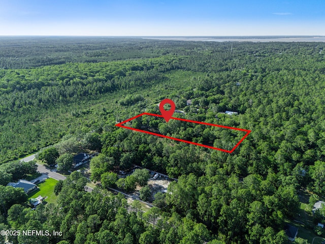 96428 Chester Rd, Yulee, FL 32097 - aerial view of property's location with a forest and property parcel outlined