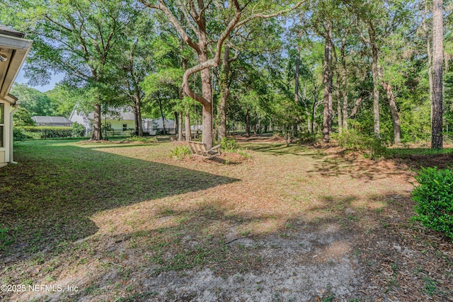 96428 Chester Rd, Yulee, FL 32097 - view of grassy yard