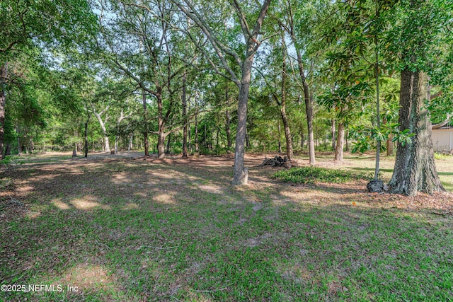 96428 Chester Rd, Yulee, FL 32097 - view of yard