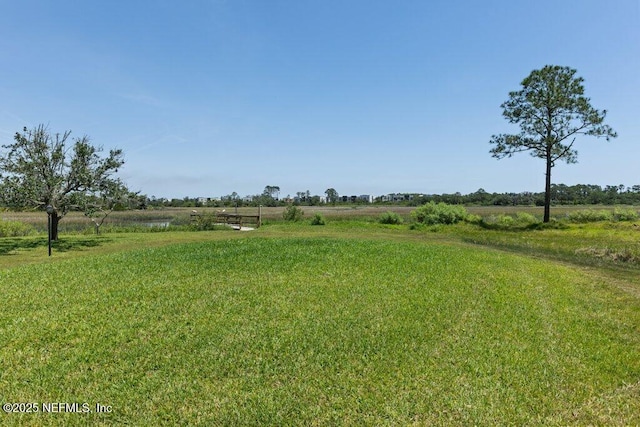 3060 Lewis Speedway, Saint Augustine, FL 32084 - view of grassy yard with a view of rural / pastoral area