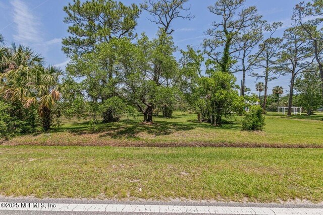 3060 Lewis Speedway, Saint Augustine, FL 32084 - view of local wilderness