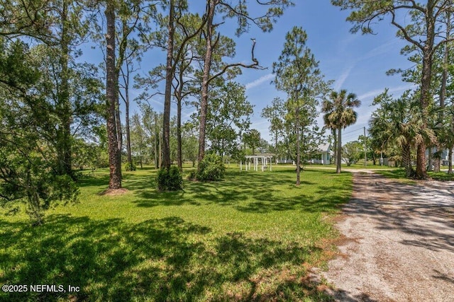 3060 Lewis Speedway, Saint Augustine, FL 32084 - surrounding community featuring a yard