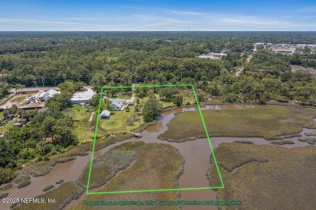 3060 Lewis Speedway, Saint Augustine, FL 32084 - view of property location featuring a forest and property boundaries highlighted