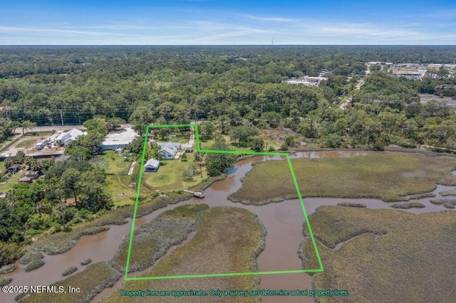 3060 Lewis Speedway, Saint Augustine, FL 32084 - aerial view of property's location with a heavily wooded area, property boundaries highlighted, and a nearby body of water