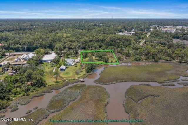 3060 Lewis Speedway, Saint Augustine, FL 32084 - aerial overview of property's location with a heavily wooded area, property boundaries highlighted, and a nearby body of water