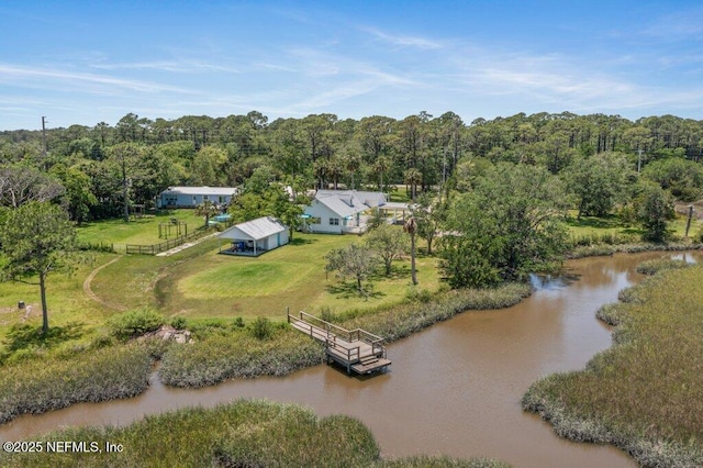 3060 Lewis Speedway, Saint Augustine, FL 32084 - view of subject property featuring a large body of water and a forest