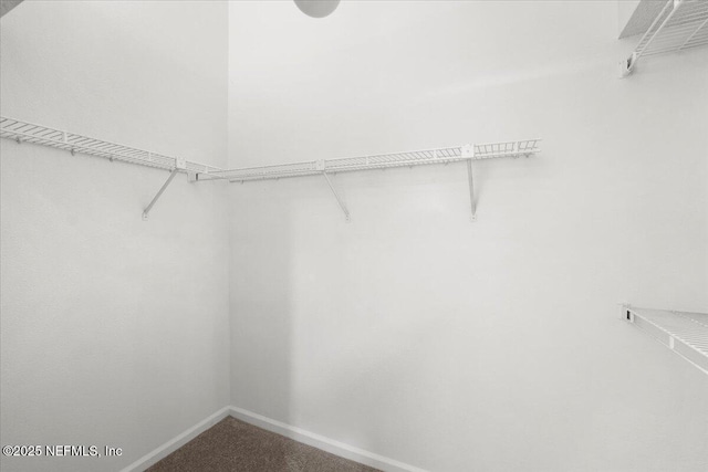 2767 Laten Ln, Jacksonville, FL 32216 - walk in closet with carpet floors