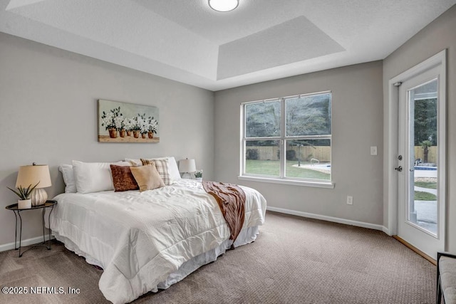 4833 Saddlehorn Trl, Middleburg, FL 32068 - bedroom with a tray ceiling, access to outside, multiple windows, and carpet