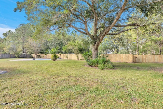 4833 Saddlehorn Trl, Middleburg, FL 32068 - view of yard