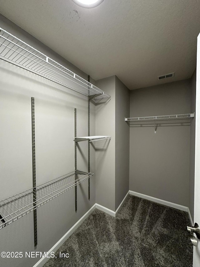 1456 Greenway Pl, Fleming Island, FL 32003 - walk in closet featuring carpet floors