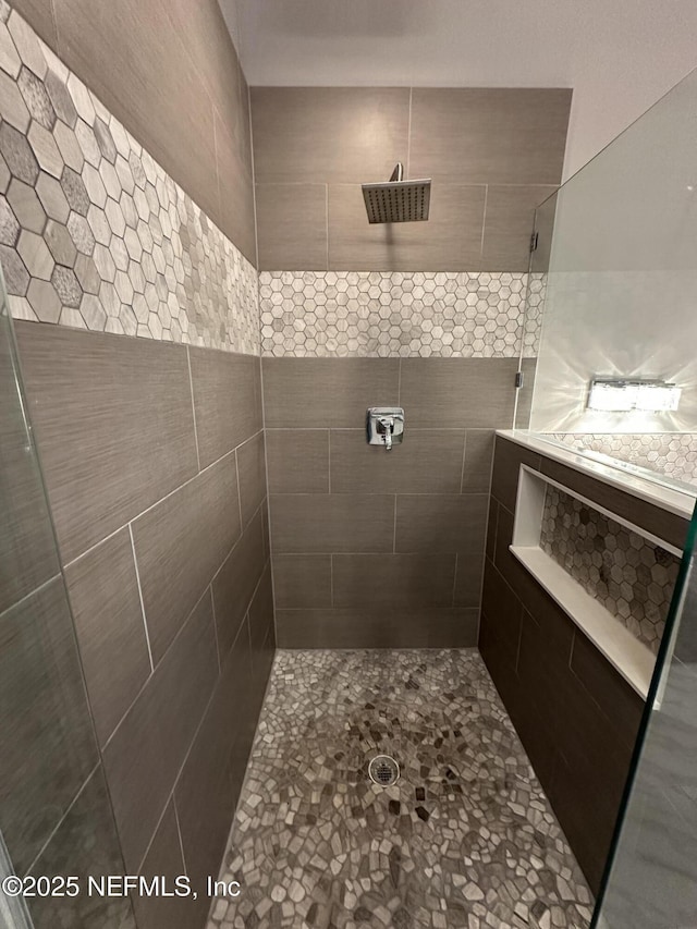 1456 Greenway Pl, Fleming Island, FL 32003 - bathroom with a tile shower
