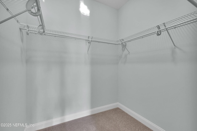 44 Sea Grn Way, Ponte Vedra, FL 32081 - walk in closet featuring carpet floors