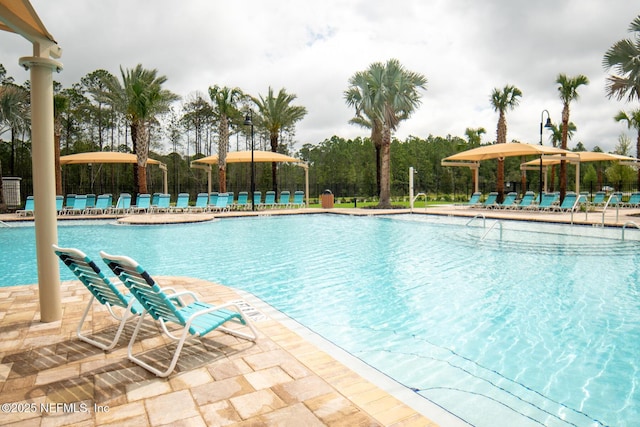 44 Sea Grn Way, Ponte Vedra, FL 32081 - view of community pool