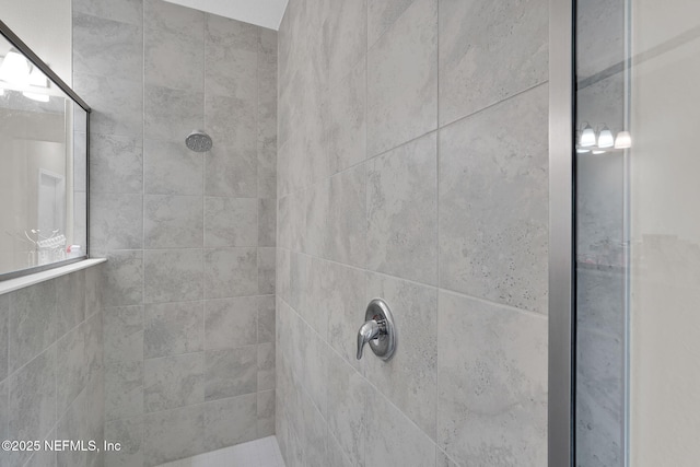 328 Clarys Run, Saint Augustine, FL 32092 - bathroom featuring a tile shower