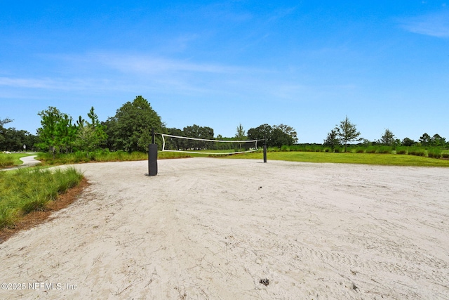 328 Clarys Run, Saint Augustine, FL 32092 - view of property's community with volleyball court
