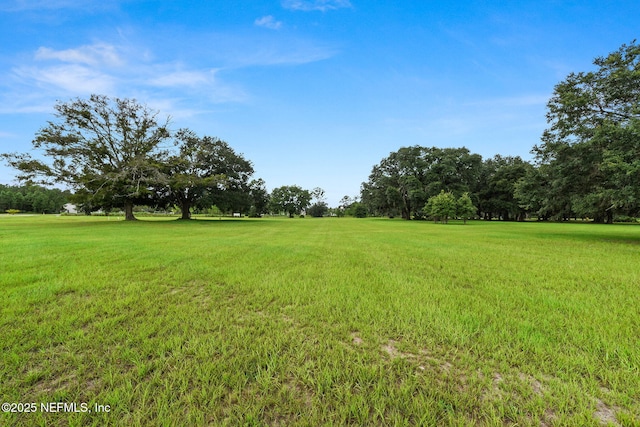 328 Clarys Run, Saint Augustine, FL 32092 - view of grassy yard