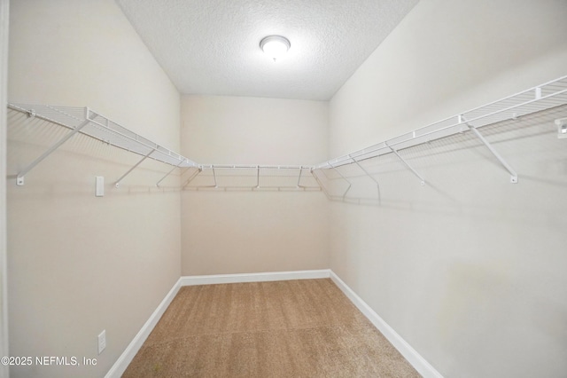 194 Magnolia Creek Walk, Ponte Vedra, FL 32081 - walk in closet with light colored carpet