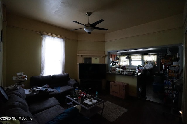 223 E 6th St, Jacksonville, FL 32206 - living area featuring ceiling fan, plenty of natural light, and wood finished floors
