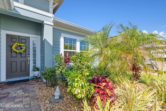 267 Ash Breeze Cv, Saint Augustine, FL 32095 - view of property entrance