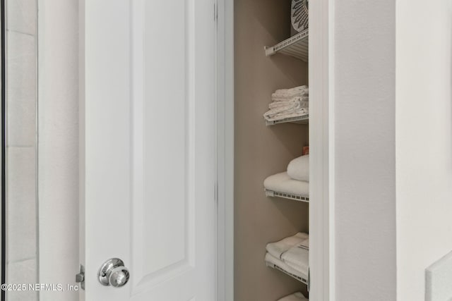 267 Ash Breeze Cv, Saint Augustine, FL 32095 - view of closet