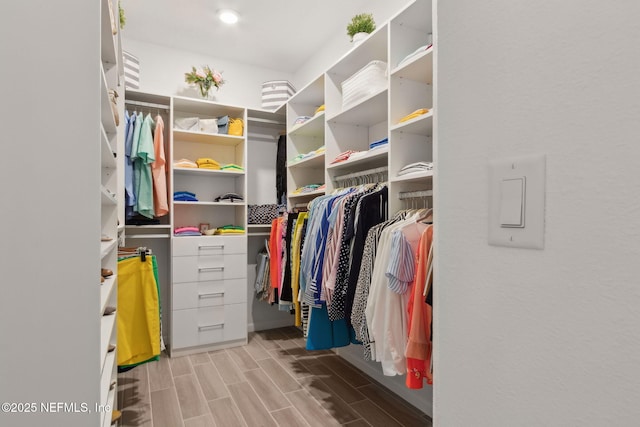 267 Ash Breeze Cv, Saint Augustine, FL 32095 - spacious closet featuring wood finish floors