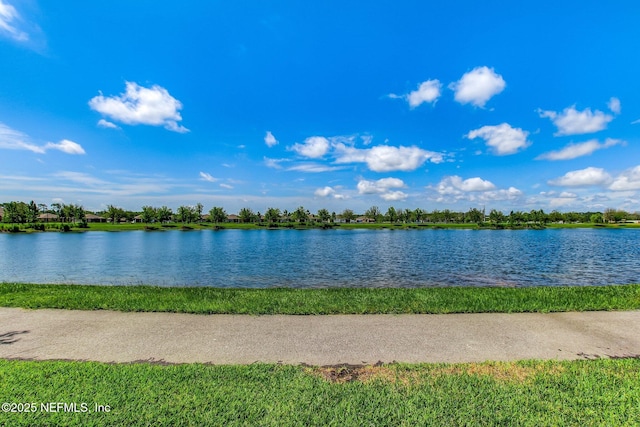 267 Ash Breeze Cv, Saint Augustine, FL 32095 - water view