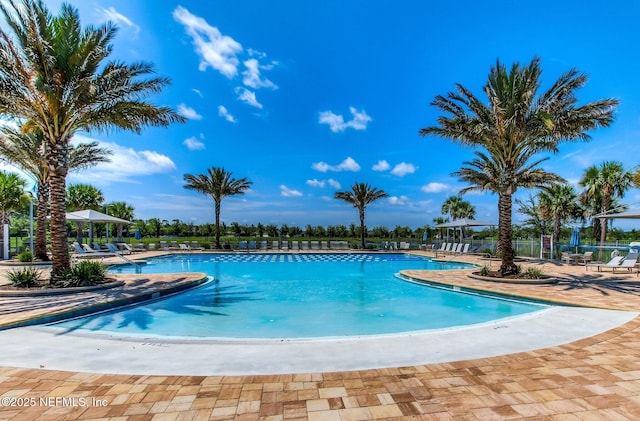267 Ash Breeze Cv, Saint Augustine, FL 32095 - community pool featuring a patio