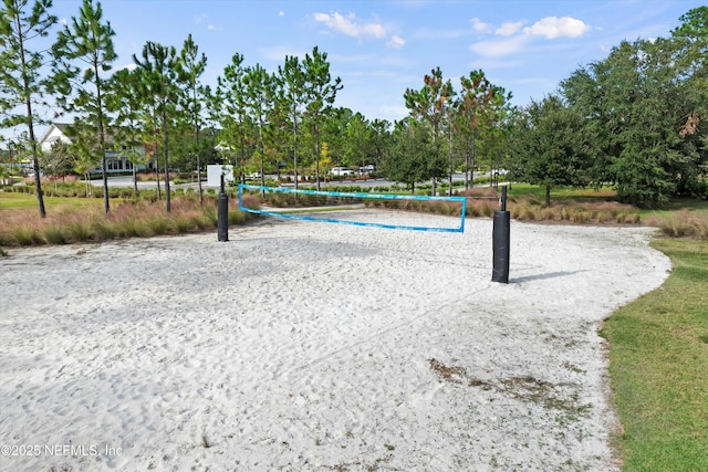 32 Mosaic Park Ave, Saint Augustine, FL 32092 - view of community with volleyball court