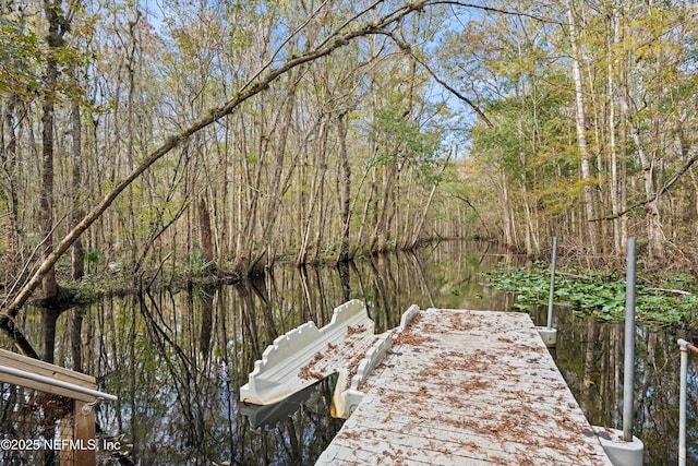 32 Mosaic Park Ave, Saint Augustine, FL 32092 - dock featuring a water view and a wooded view