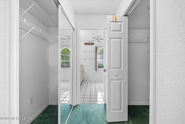 30 Patuxent Ln, Palm Coast, FL 32164 - walk in closet with ceiling fan and carpet flooring