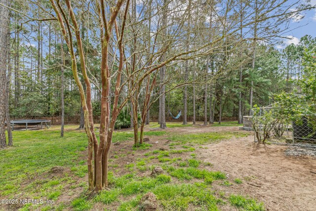 1098 Spanish Bay Ct, Orange Park, FL 32065 - view of yard featuring a trampoline