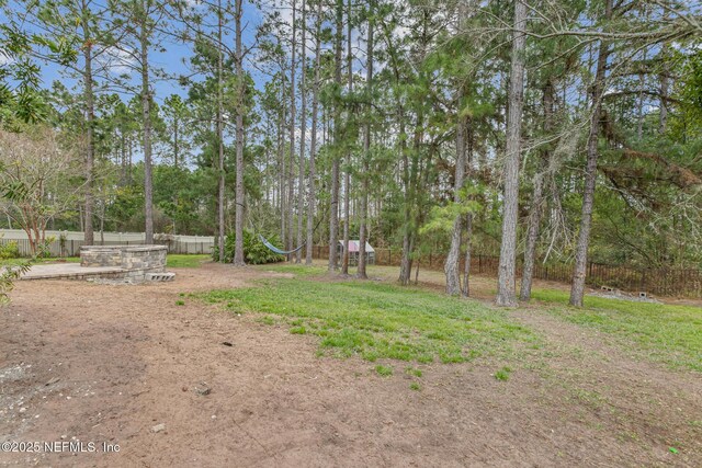 1098 Spanish Bay Ct, Orange Park, FL 32065 - view of yard