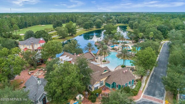 1098 Spanish Bay Ct, Orange Park, FL 32065 - aerial overview of property's location featuring a heavily wooded area, a large body of water, and a pool