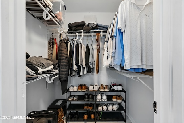 12489 Windy Willows Dr N, Jacksonville, FL 32225 - view of walk in closet