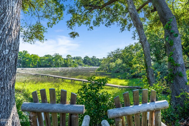 12489 Windy Willows Dr N, Jacksonville, FL 32225 - view of yard