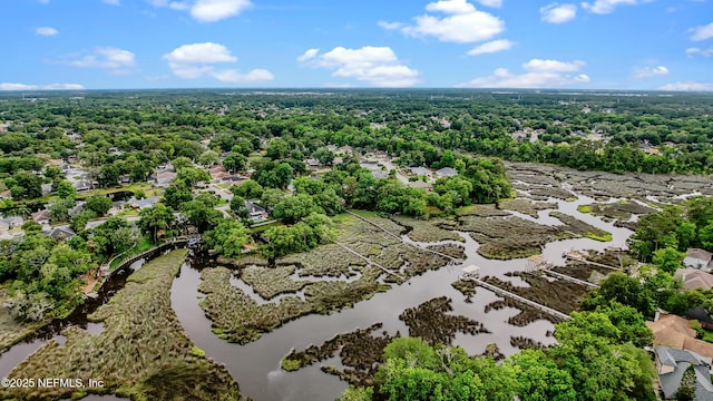 12489 Windy Willows Dr N, Jacksonville, FL 32225 - bird's eye view of a nearby body of water and a forest