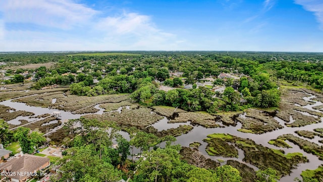 12489 Windy Willows Dr N, Jacksonville, FL 32225 - drone / aerial view of a heavily wooded area and a large body of water