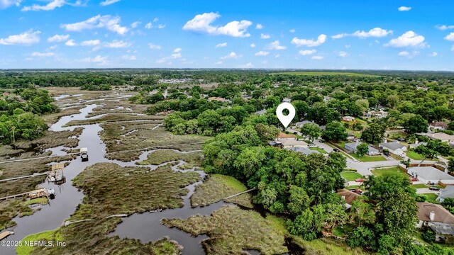 12489 Windy Willows Dr N, Jacksonville, FL 32225 - view of property location featuring a large body of water
