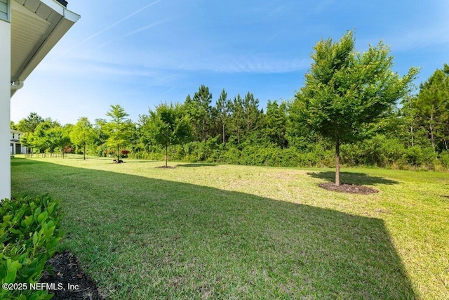 14074 Sterely Ct S, Jacksonville, FL 32256 - photo 29