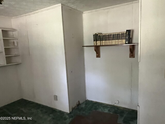 6791 Grace Ln, Jacksonville, FL 32205 - photo 28