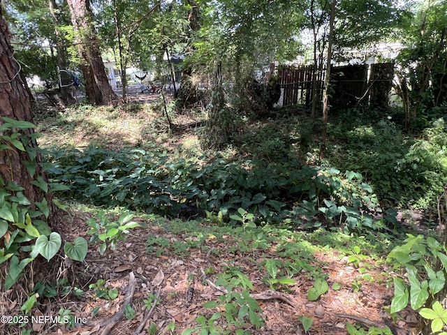 6791 Grace Ln, Jacksonville, FL 32205 - photo 7
