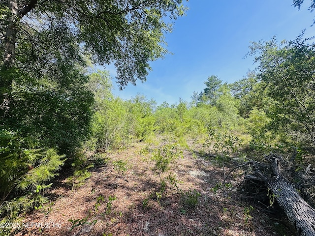 6007 Furman Ave, Keystone Heights, FL 32656