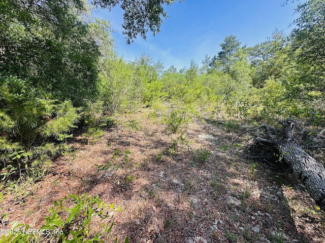 6007 Furman Ave, Keystone Heights, FL 32656