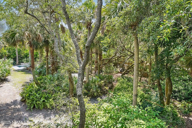 1927 Beachside Ct, Atlantic Beach, FL 32233 - view of local wilderness