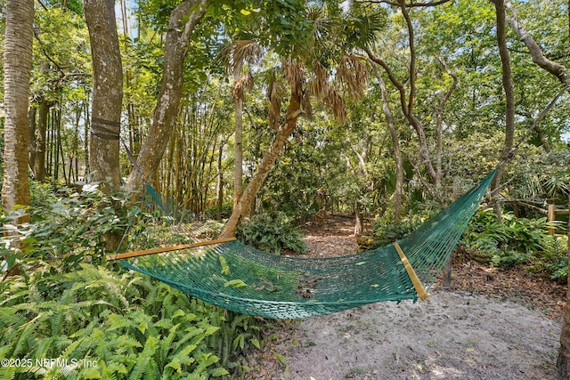 1927 Beachside Ct, Atlantic Beach, FL 32233 - view of nature