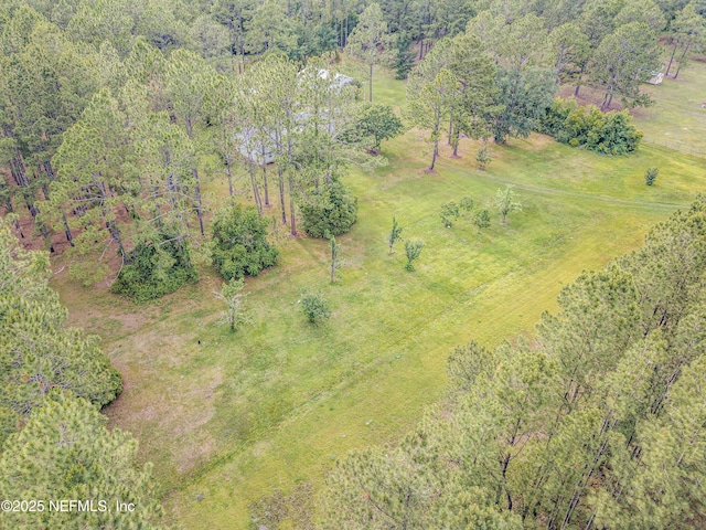 6645 Elvin Starling Rd, Macclenny, FL 32063 - aerial view of property's location