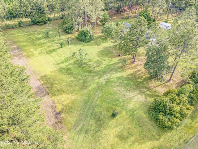 6645 Elvin Starling Rd, Macclenny, FL 32063 - bird's eye view