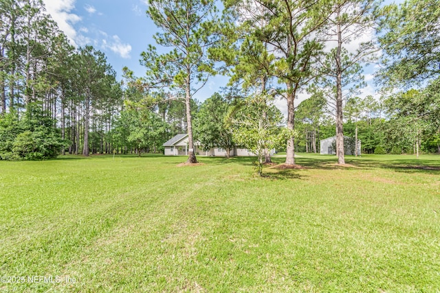 6645 Elvin Starling Rd, Macclenny, FL 32063 - view of green lawn with view of scattered trees