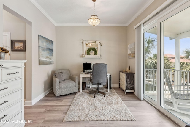 2695 Morning Light Ct, Flagler Beach, FL 32136 - office space featuring light wood-type flooring, ornamental molding, and baseboards